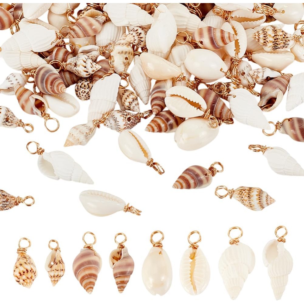 100pcs 4 รูปแบบเปลือกหอยธรรมชา - Jewelry Making Beginners บทวิจารณ์และราคา